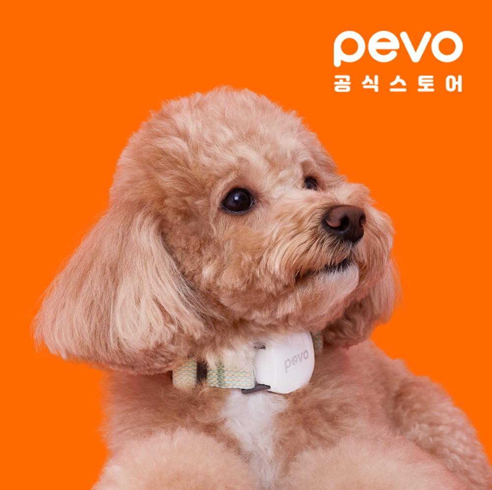 페보 워치 PEVO Watch 강아지 목줄 반려견 활동관리 필수템 GPS 위치추적