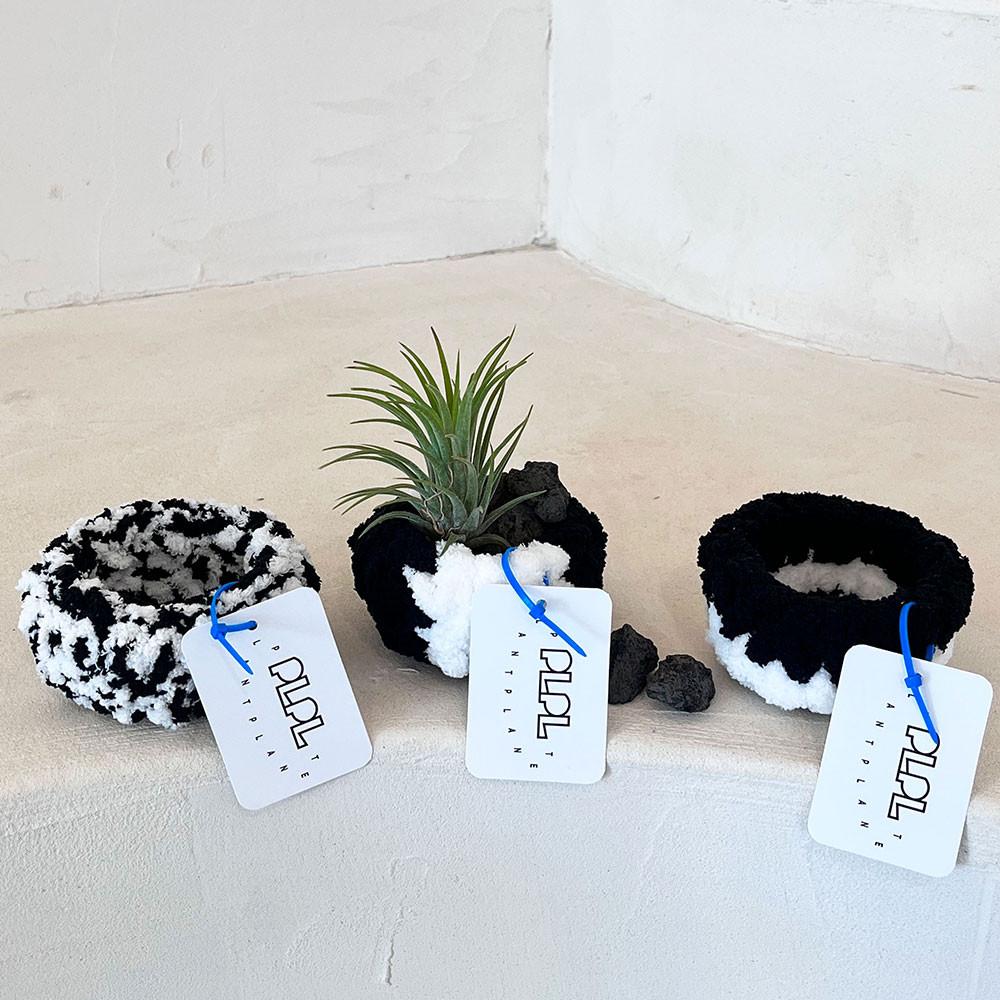 툭 이오난사 mini 오브제 블랙&화이트 /틸란드시아 공기정화식물 플랜테리어 키우기쉬운식물