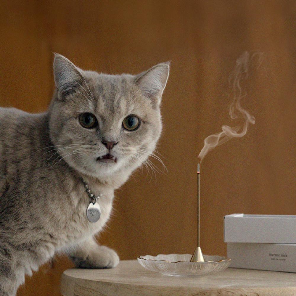 쿠씨 캣닢 인센스 고양이 반려동물 인센스 스틱 캣츠온캣닢