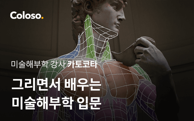 그리면서 배우는 미술해부학 입문