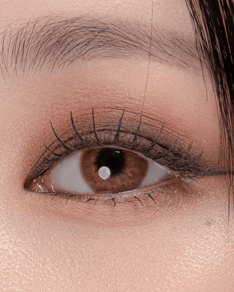 [원데이] 컬러에딕트 리치 엠버