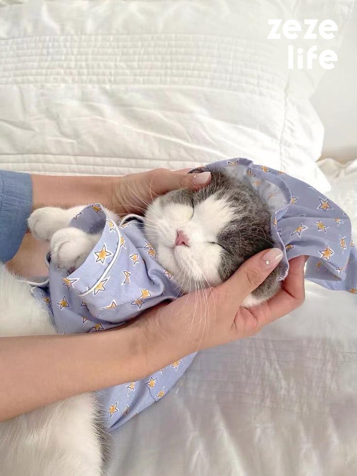 잠옷 고양이 옷