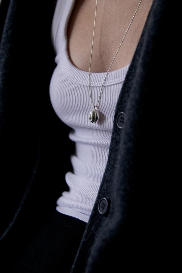 04-21 shell / silver