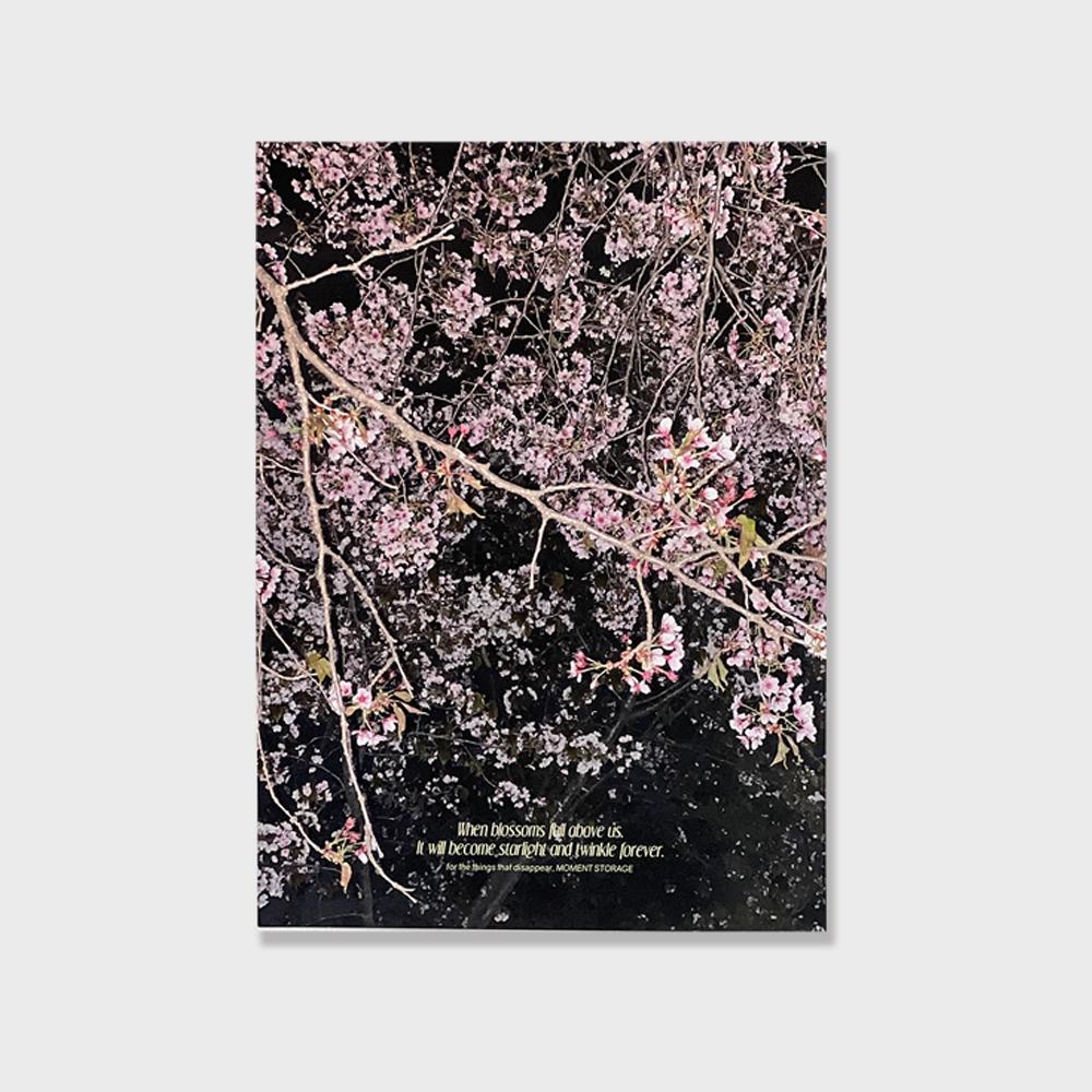 [모멘트스토리지] SEASONAL POSTER 시즈널 포스터 - BLOSSOM (A3 size)