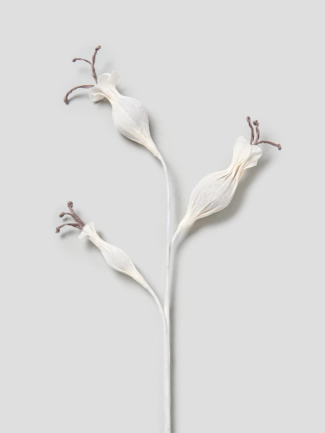 ✨더블적립✨ [LEBEIGE Only] Paper Flower - Ivory