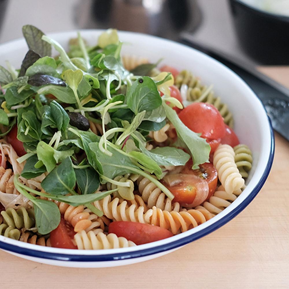 [팔콘] FALCON 에나멜 법랑 딥 플레이트 (4color)