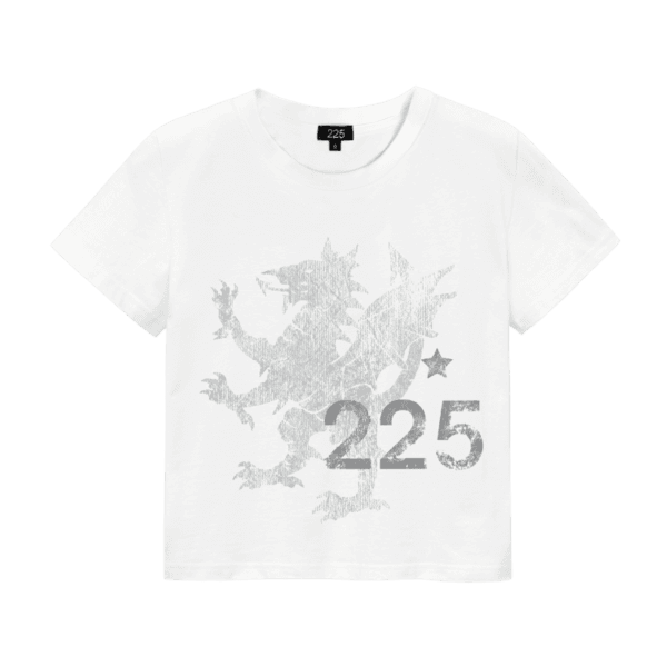 [1차 재입고] 225 dragon crop T-shirt (white)