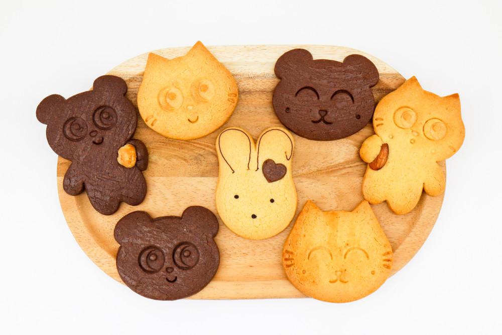 🍪버터/초코 동물쿠키