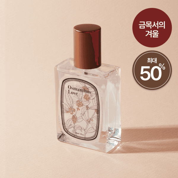 금목서의 겨울 | Osmanthus Love | 금목서 | 오스만투스러브