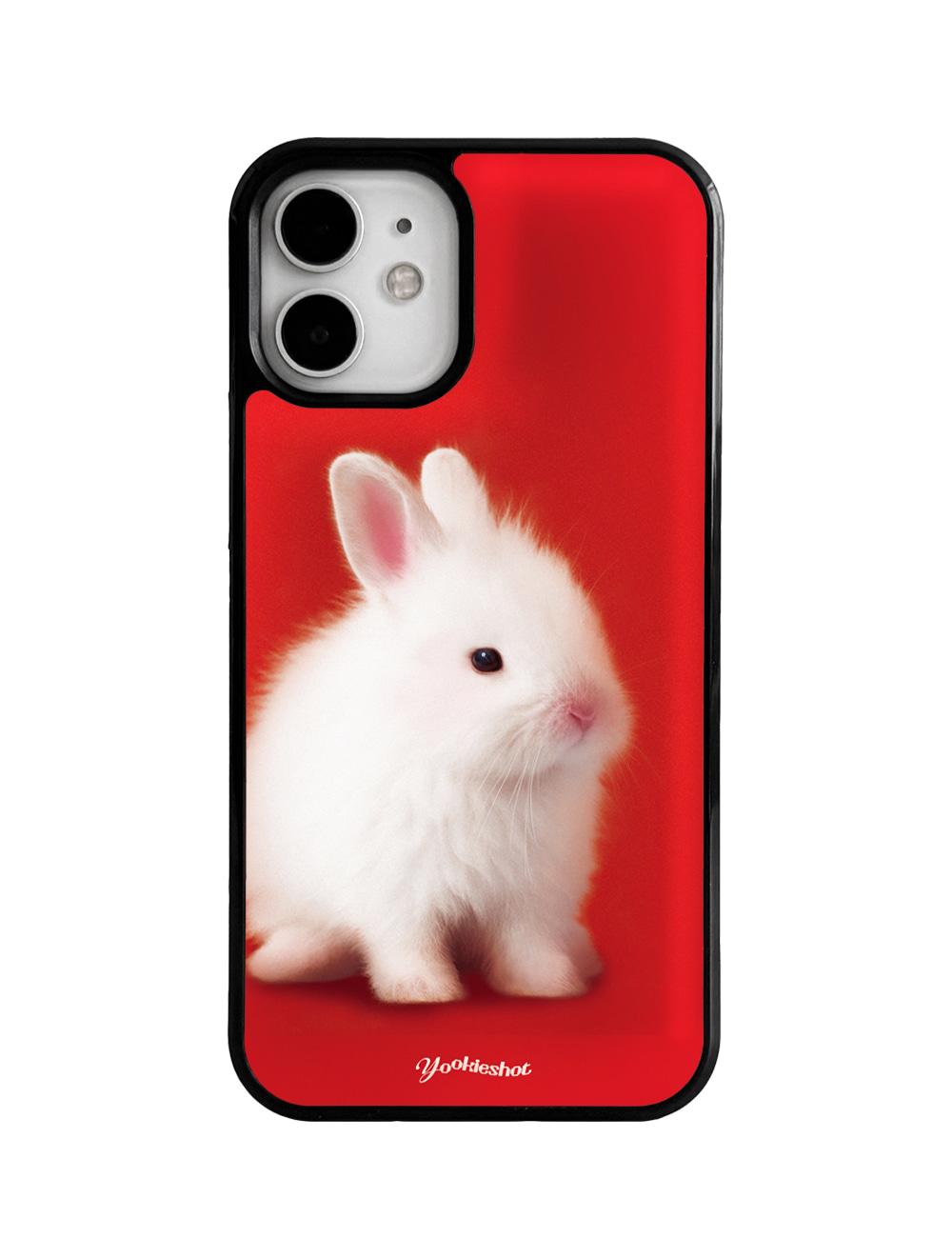 Winter rabbit case (에폭시범퍼)