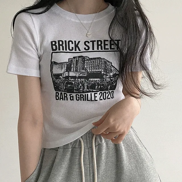 [Y2K/반팔추가!] 슬림핏 브릭 프린팅 골지 크롭 티셔츠 3color