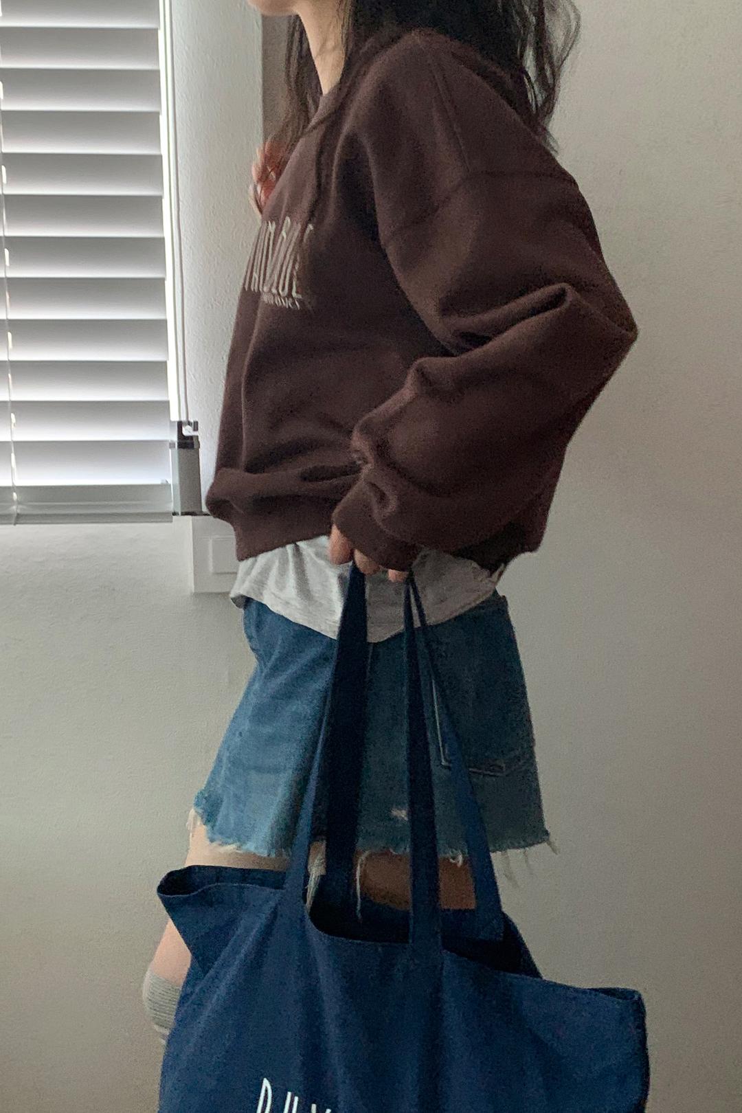 [ R&B ] Classic Embroidery Sweatshirt (Brown)