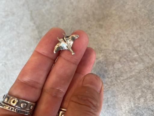 MANT/ 만타가오리 귀걸이