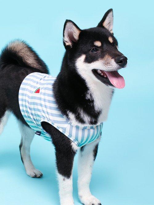 프루트 스트라이프 슬리브리스 [ 블루 ]