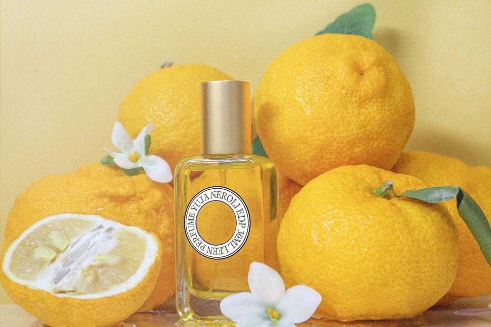 니치 퍼퓸 프랑스 공주 힐링 은은한 편안한 겨울 시트러스 [ 유자 네롤리 ] 향수 EDP