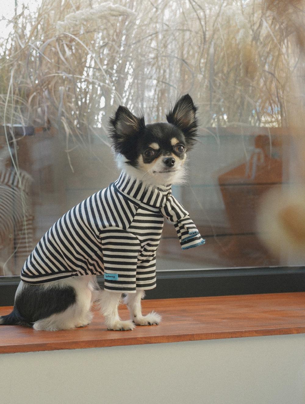 Striped Turtleneck (Black)