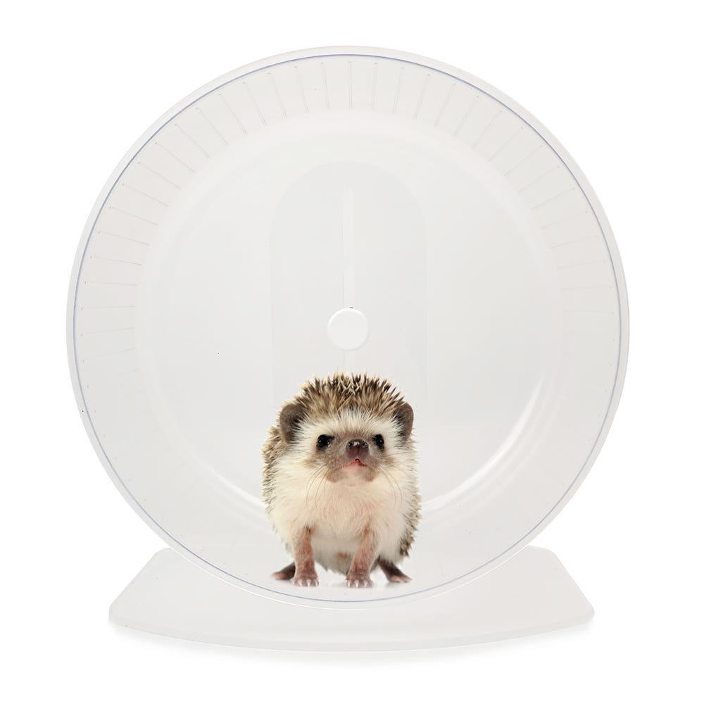 햄스터쳇바퀴 GD30 바람개비 고슴도치쳇바퀴 30cm