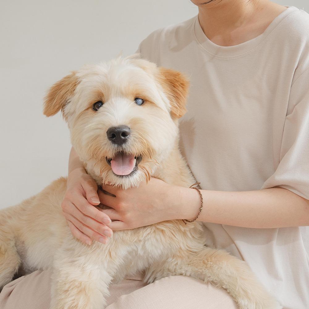 유기견에게 행복을 선물하는 팔찌