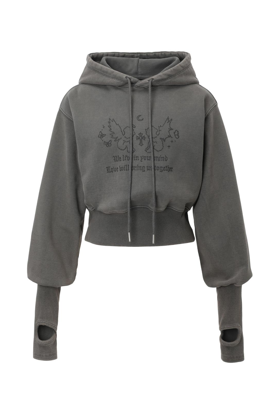 [1st pre-order] Fairy hoodie