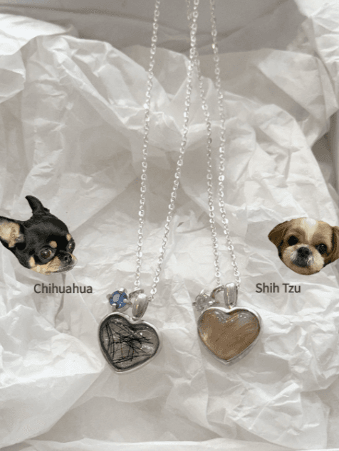 [M.L.P.P] My pet necklace