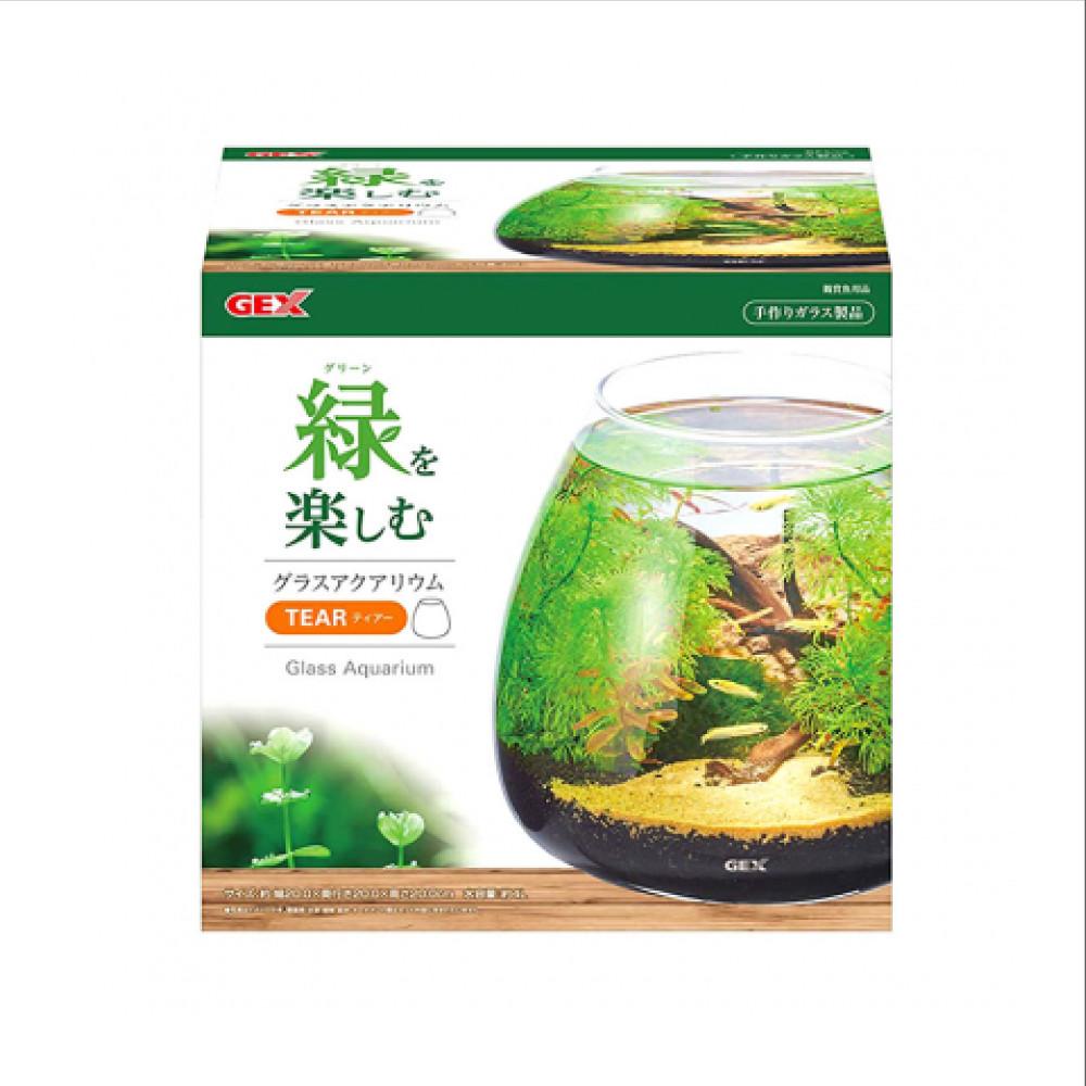 GEX 아쿠아테라리움 미니 팔루다리움 메다카 어항 만들기 TERRA TEAR