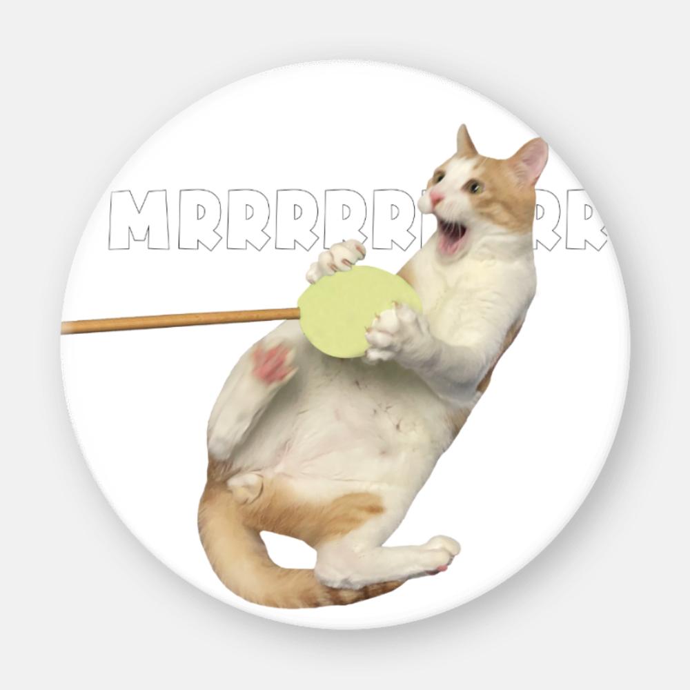 지지않는 고양이 도돌이