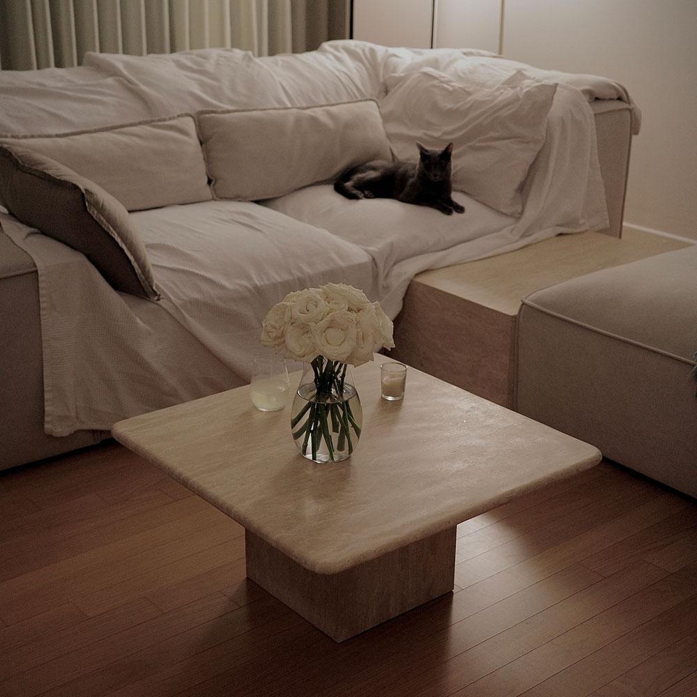 SQUARE SINGLE LAYER : SOFA TABLE