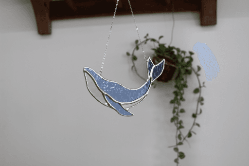 혹등고래 썬캐쳐