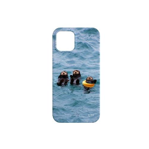 Sea otter case