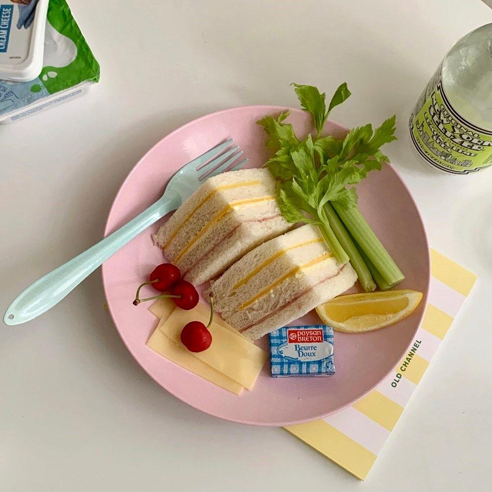 파스텔레인보우 법랑플레이트M (6color 브런치, 캠핑, 파스타)