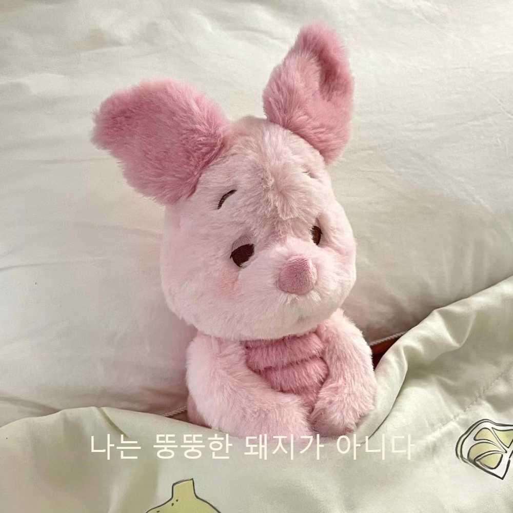 졸린피글렛인형 차주영 애착인형 인스타 전참시 모찌