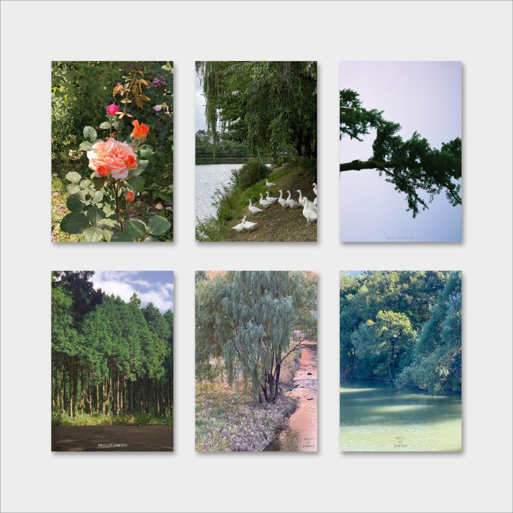 [피스오브져니] 그리너리 엽서 6종