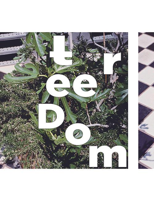 treedom
