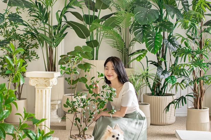 리얼퀄리티 핸드메이드 조화나무 13종 모음전