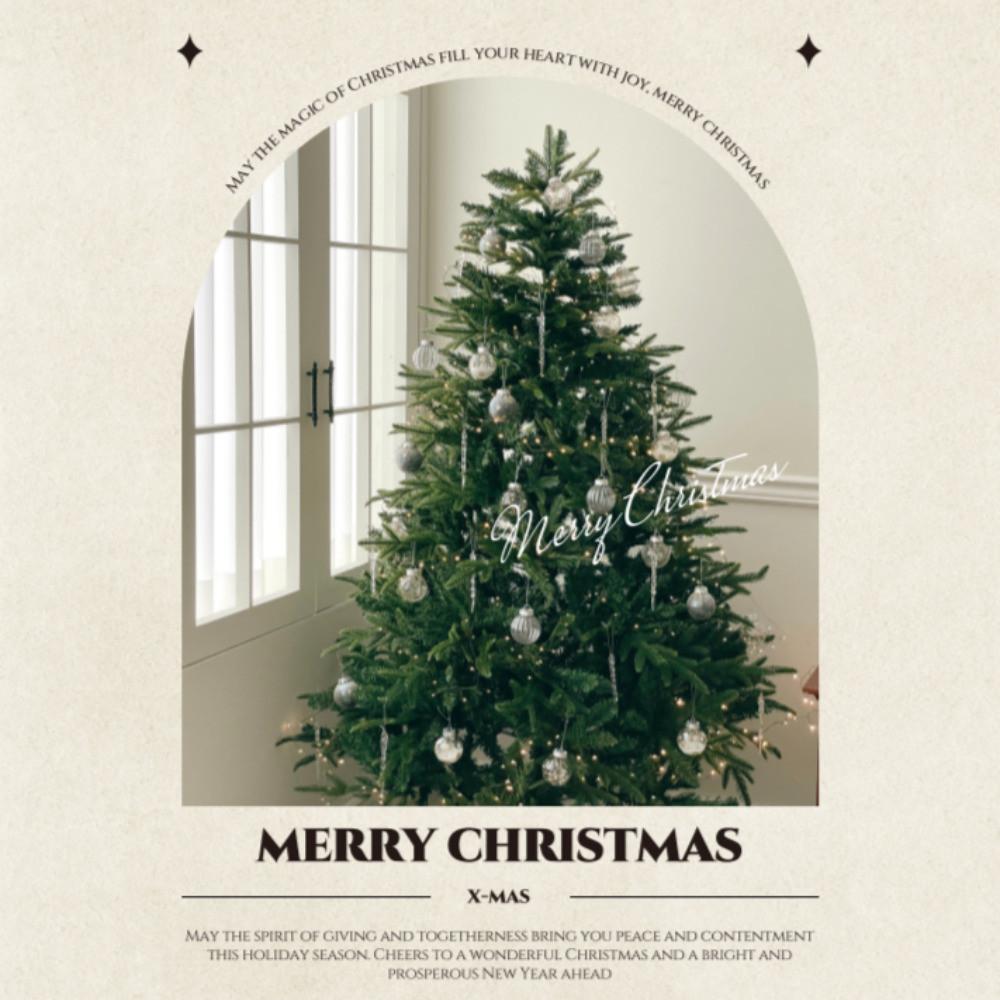 메종드슈슈 ✨슈퍼 얼리버드 예약✨ 크리스마스 장식 트리 세트 오너먼트 대형트리 set (🎈10월4일 open)