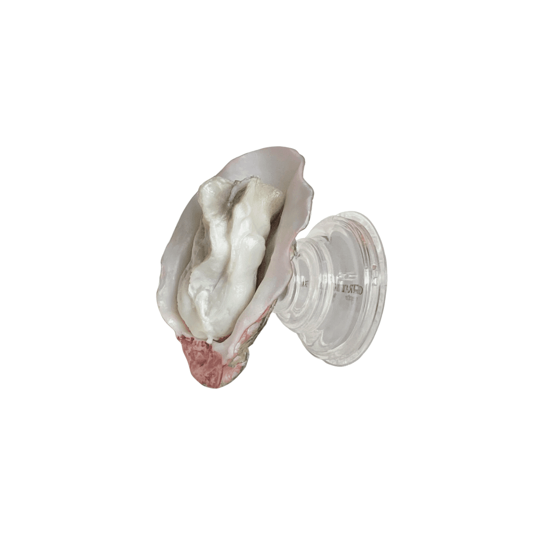 Oyster trap tok