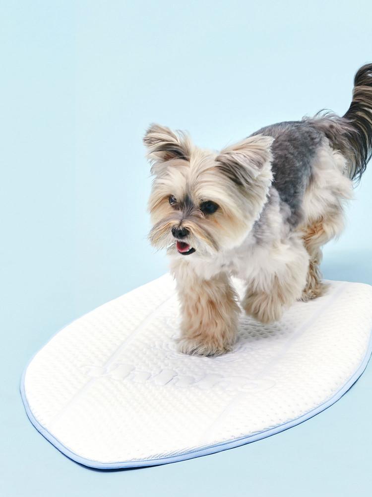 아르르 쿨썸 서핑매트(2color) 강아지 고양이 방석 여름방석 여름 쿨매트