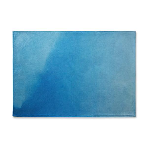 AUG 9 PM6:28 rug