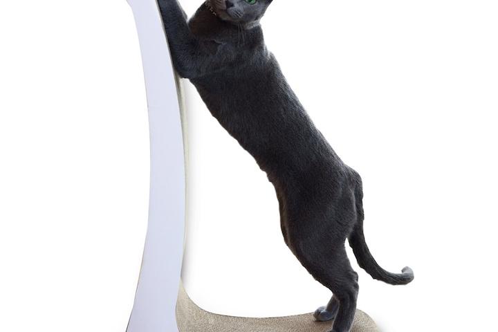 냥냥계의 핫템 고양이 스크래쳐 10종 모음전