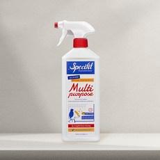 스페시핏 올인원 다목적 세정제 750ml 주방 욕실 청소, 750ml, 1개