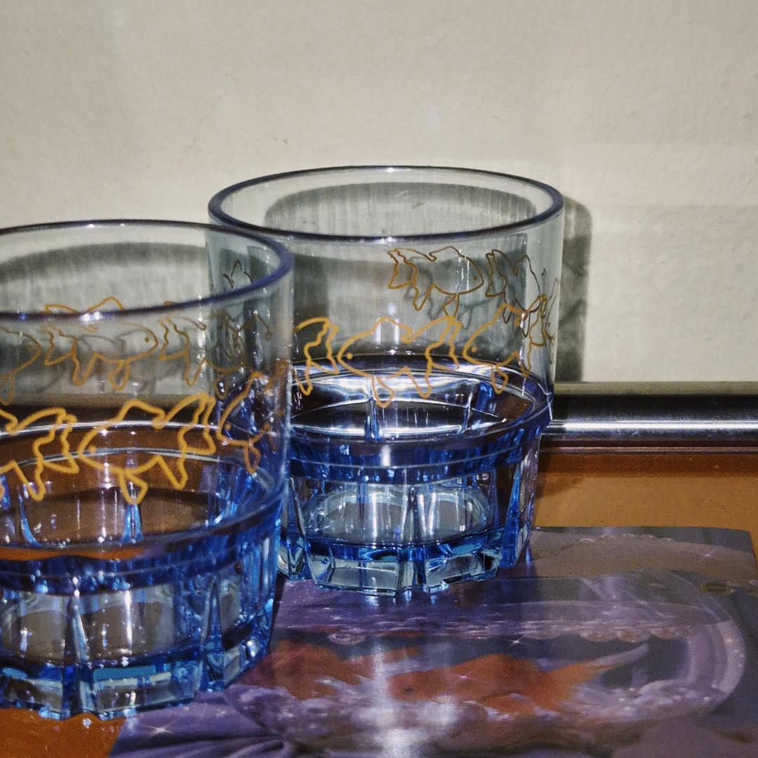 아쿠아 금붕어 소주잔 5p & 케이스 세트