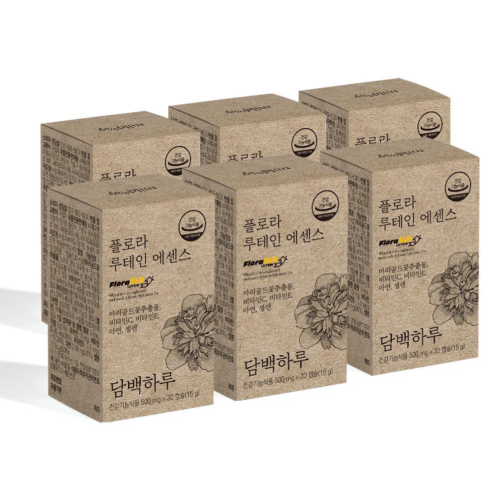 담백하루 플로라 루테인 에센스 180캡슐 6개월 6박스 DSM 플로라글로