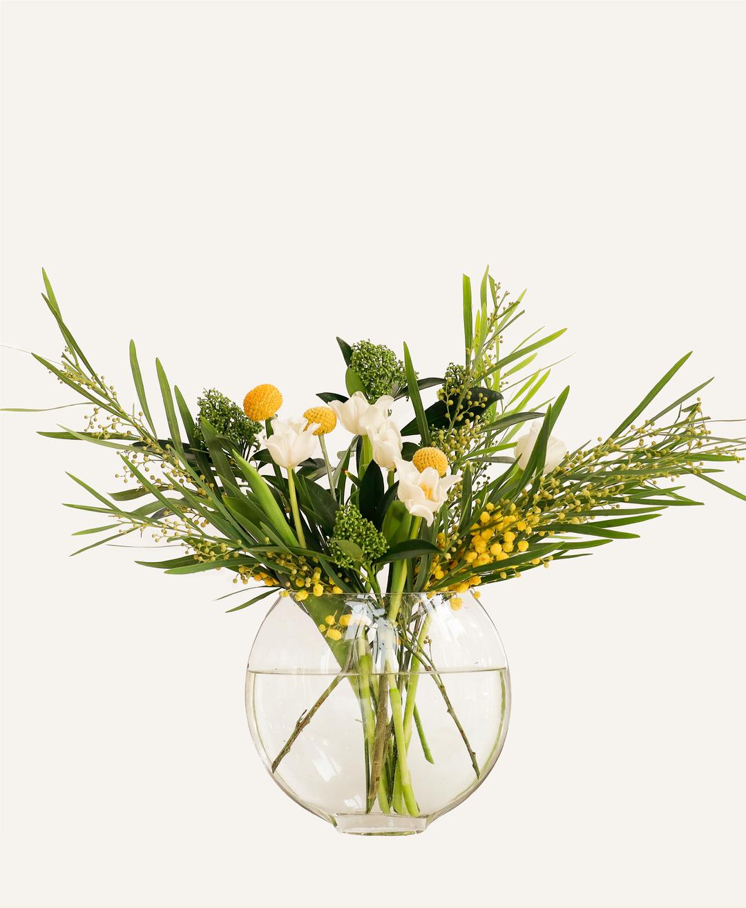 (한정) 반짝반짝 작은 별 믹스