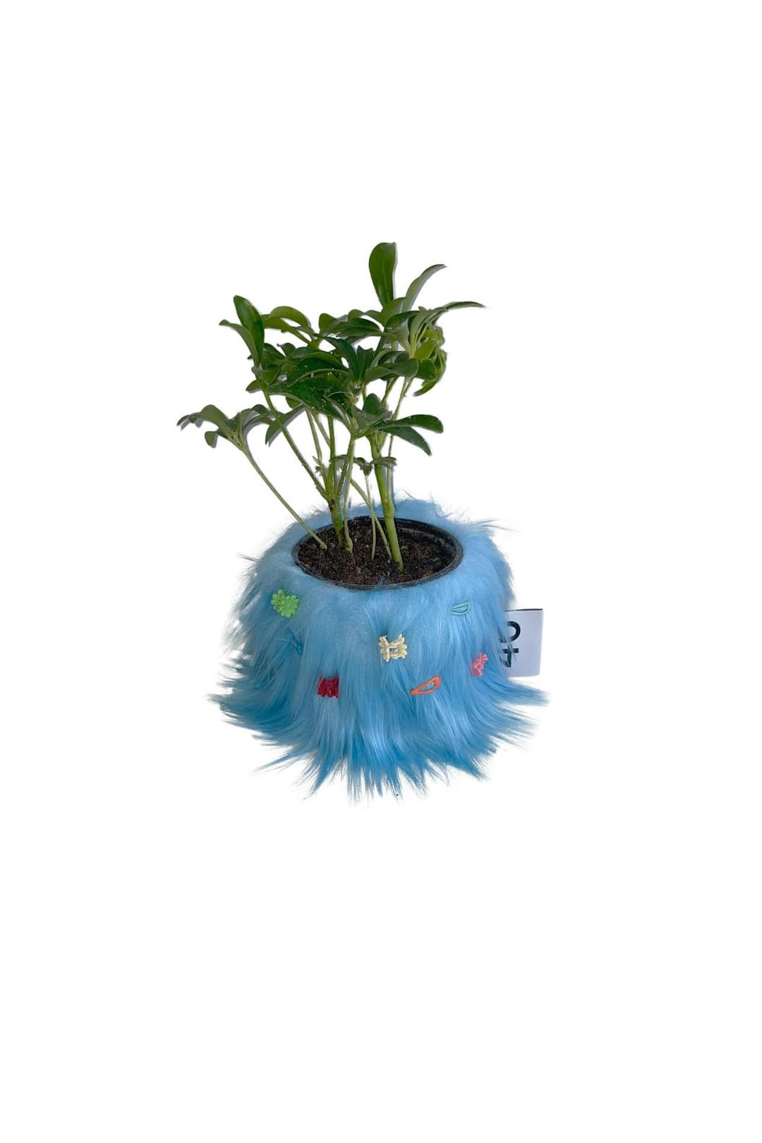 furry pot cover (sky blue)