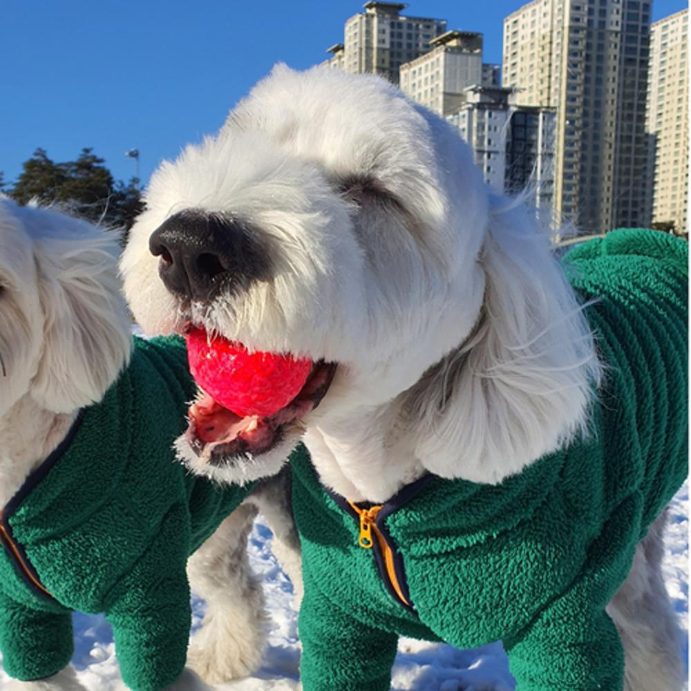 견체공학 탱탱운더볼 강아지공 천연고무 애견 애착 장난감