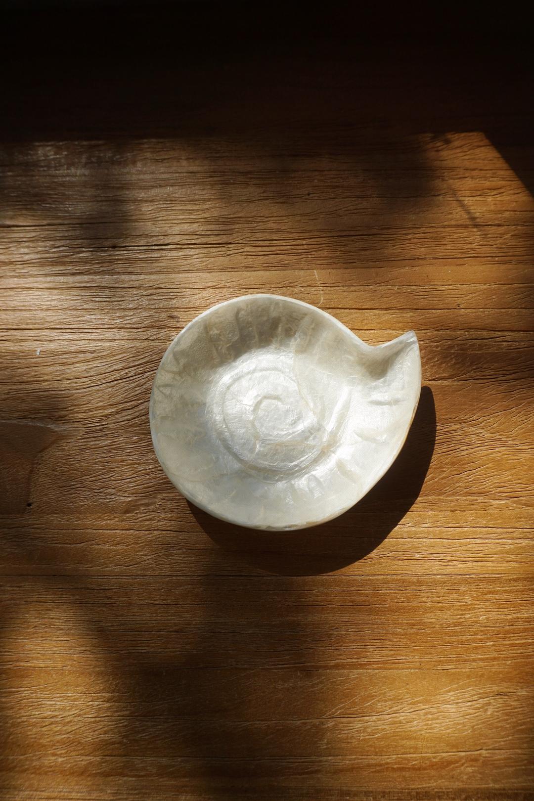 SNAIL SHELL TRAY-NO.35