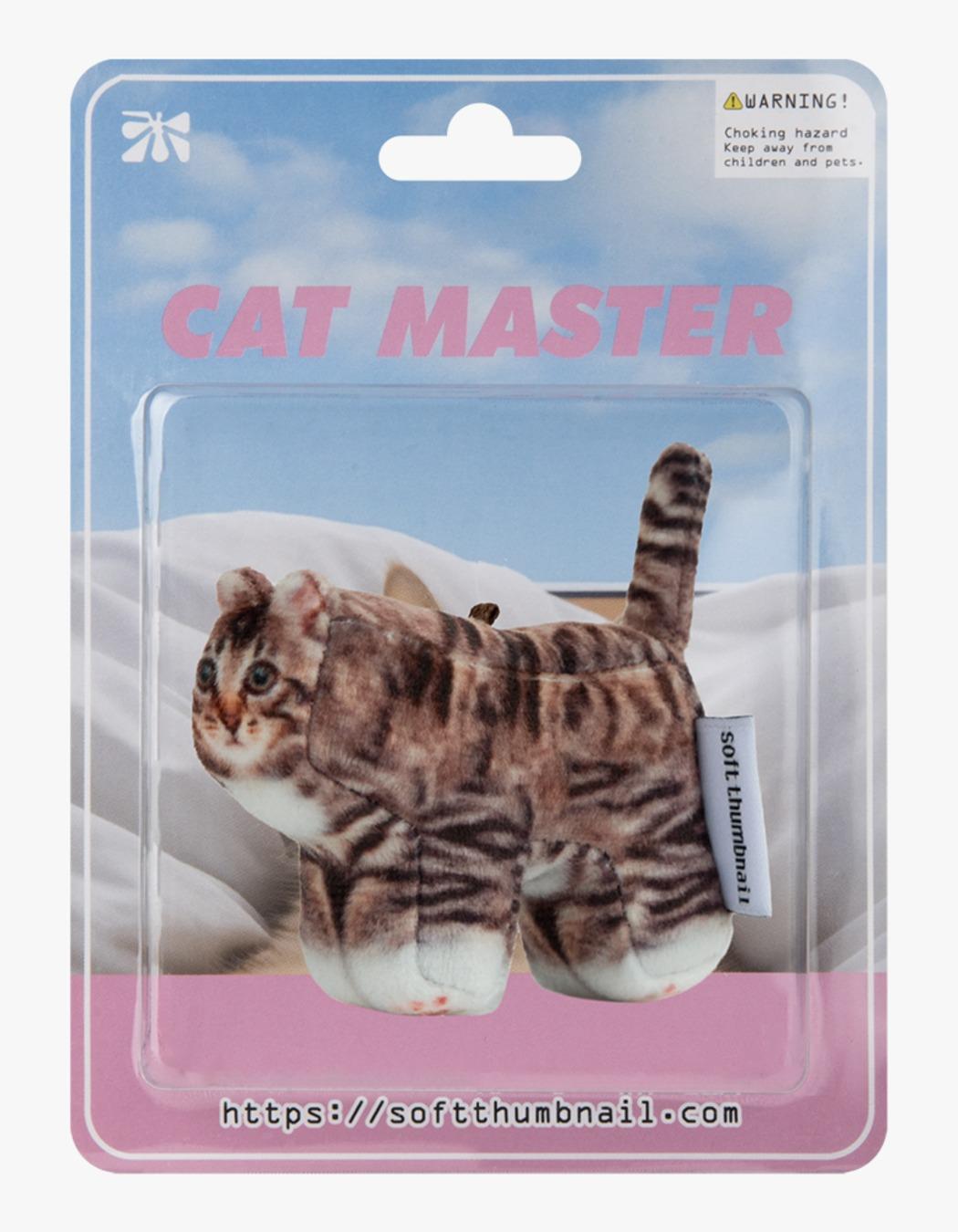 Chovy, Domestic Shorthair