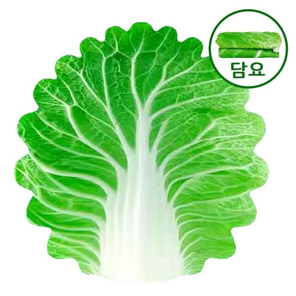 배추 담요