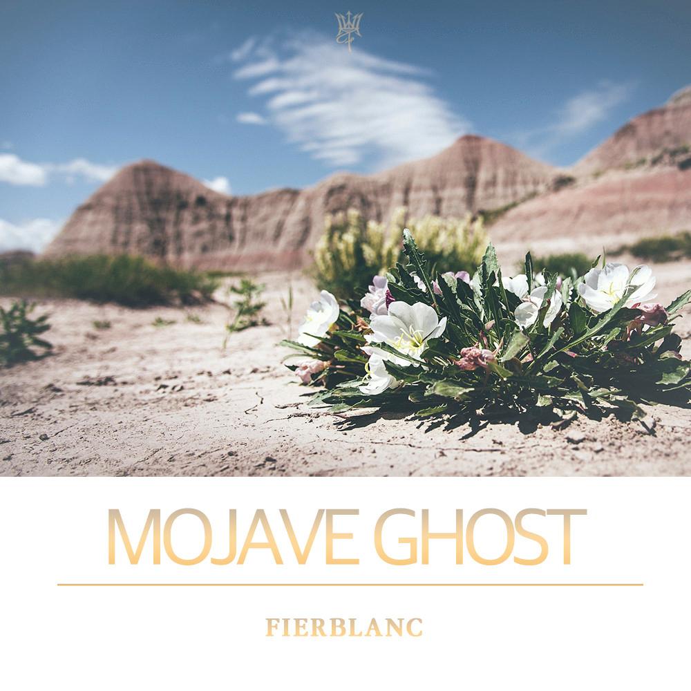 디스센스 모하비고스트 EDP 향수 30ml