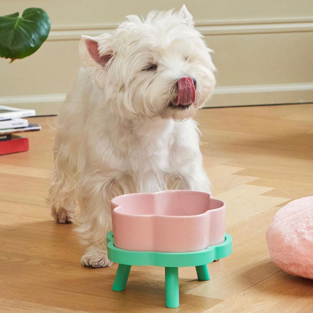 모몽 고양이 강아지 도자기 세라믹 식기 식탁 세트 대형견